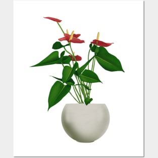 Red Anthurium Posters and Art